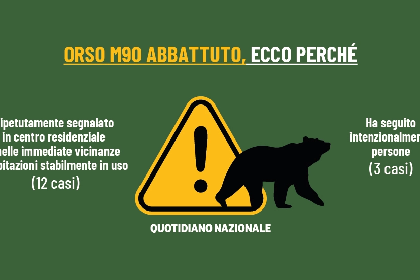Il Trentino ha abbattuto l'orso M90