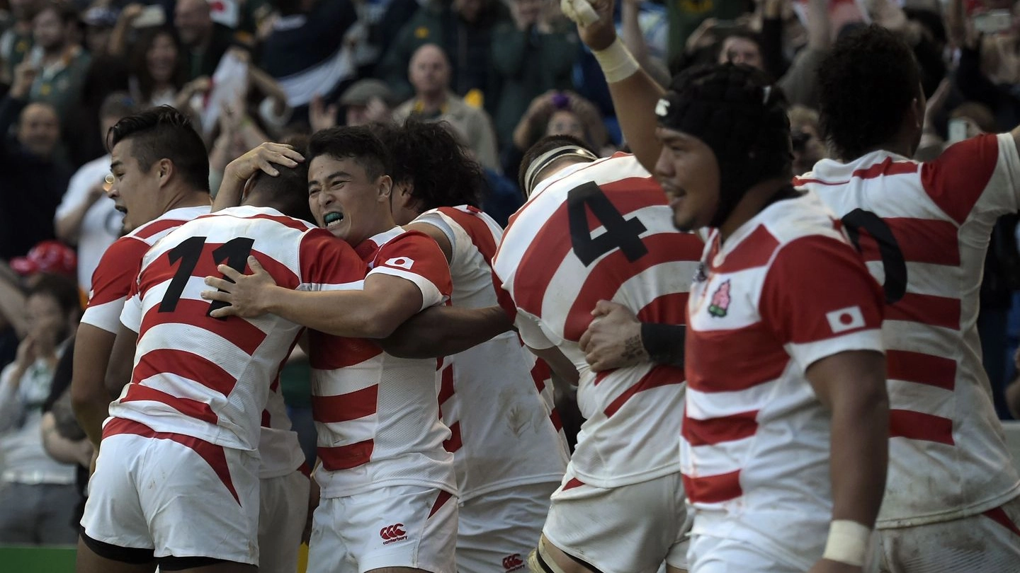 Rugby, i giocatori giapponesi festeggiano dopo aver battuto il Sud Africa (Afp)