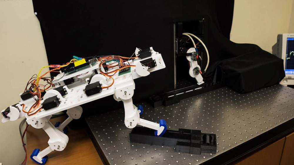 Gli arti intelligenti applicati su un robot quadrupede (Foto: Matthew Lin)