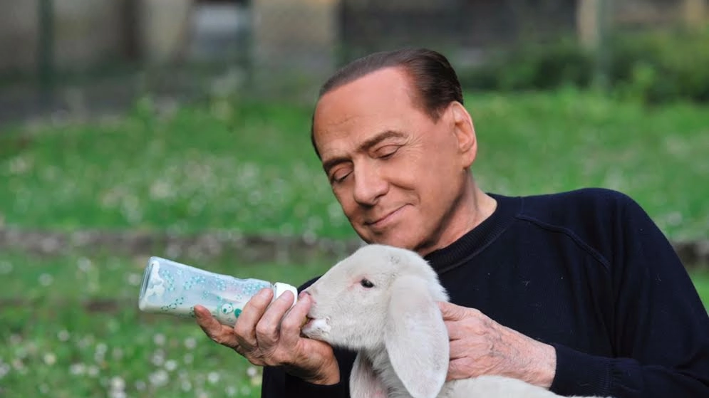 Berlusconi con uno degli agnellini adottati