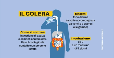 Colera: sintomi, cure e trasmissione della malattia ricomparsa in Sardegna