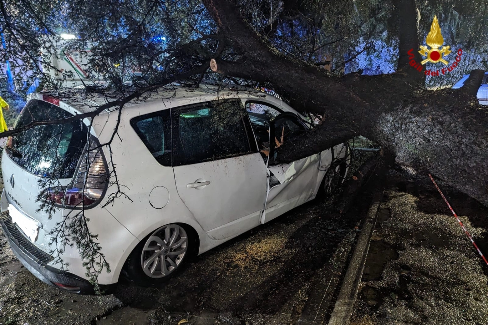 Il pino caduto sull'auto a Prato