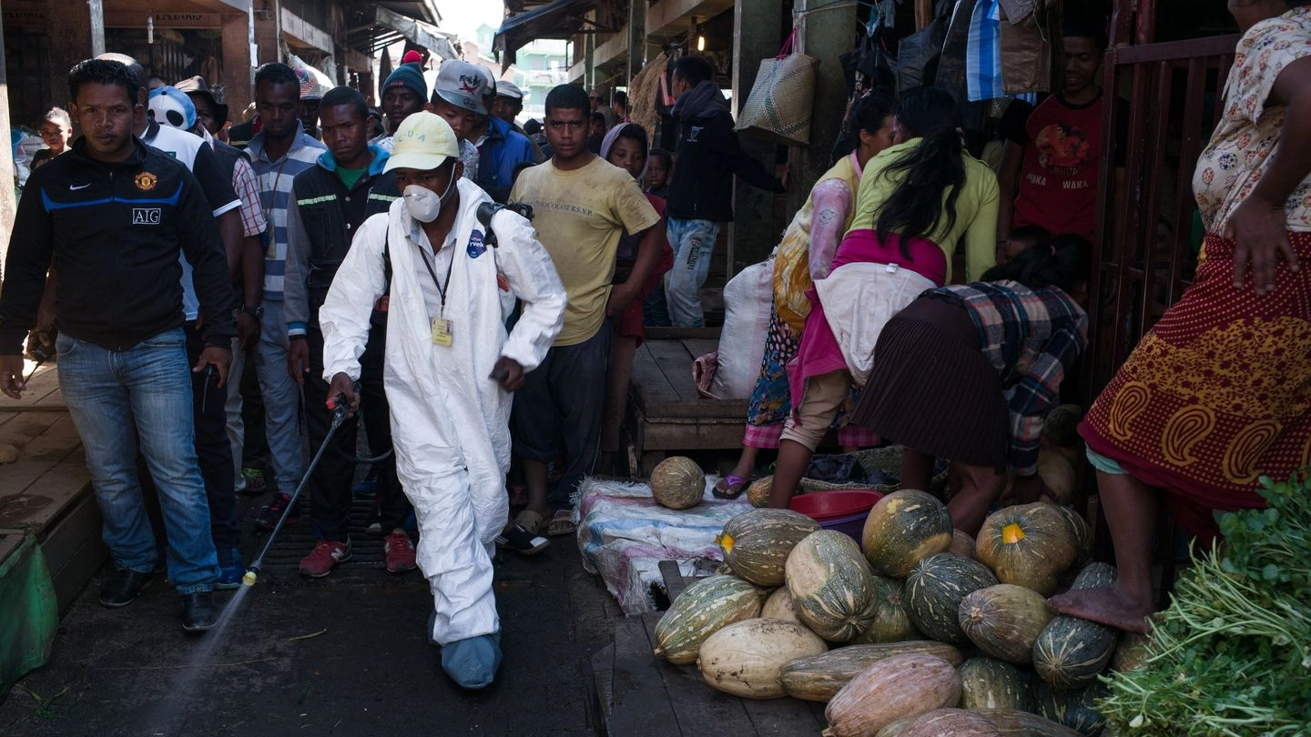 Madagascar, epidemia di peste (Afp)