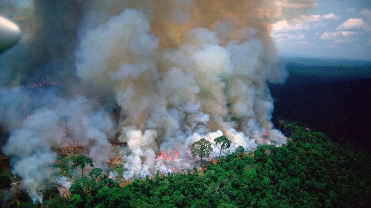La foresta amazzonica il fiamme (Dire)