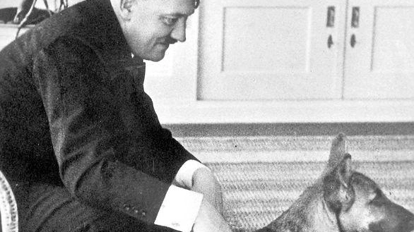 Adolf Hitler con la sua Blondie, un pastore tedesco
