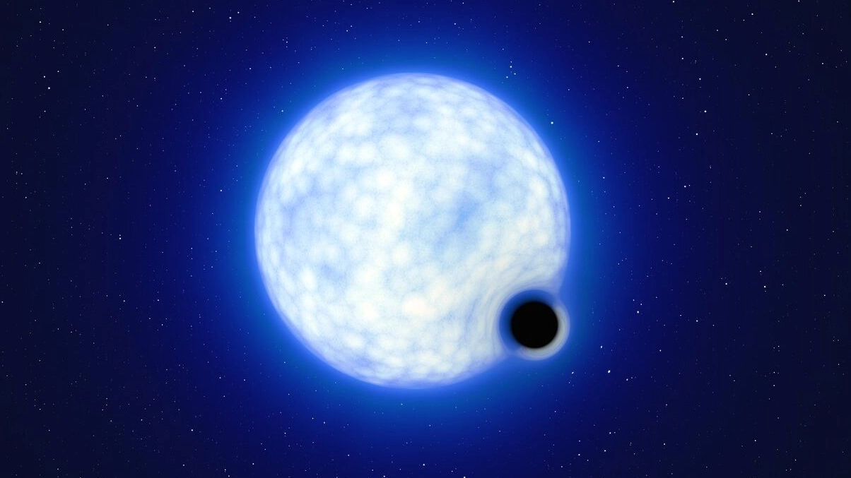 Il buco nero VFTS 243 con la stella massiccia compagna