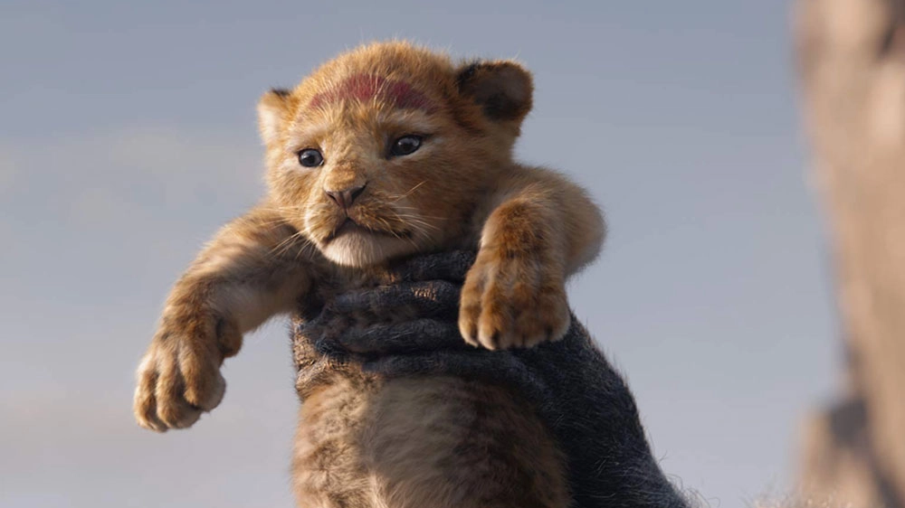 Una scena del film 'Il re leone' (2019) - Foto: Walt Disney Pictures