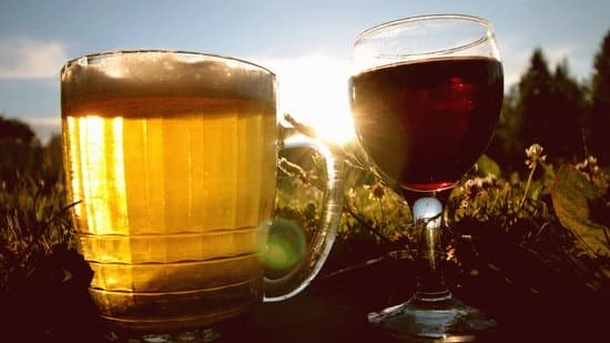 differenza tra birra e vino
