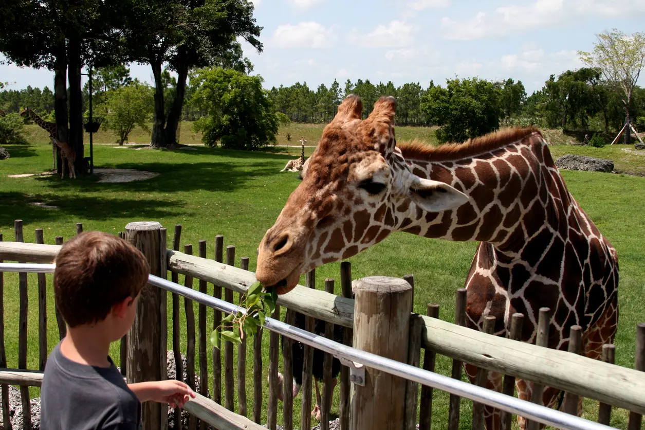 Zoo, parchi faunistici e acquari aiutano la natura e il nostro benessere