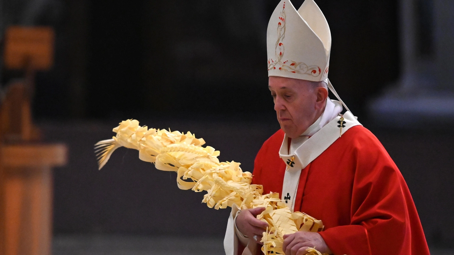 Papa Francesco alla Domenica delle Palme