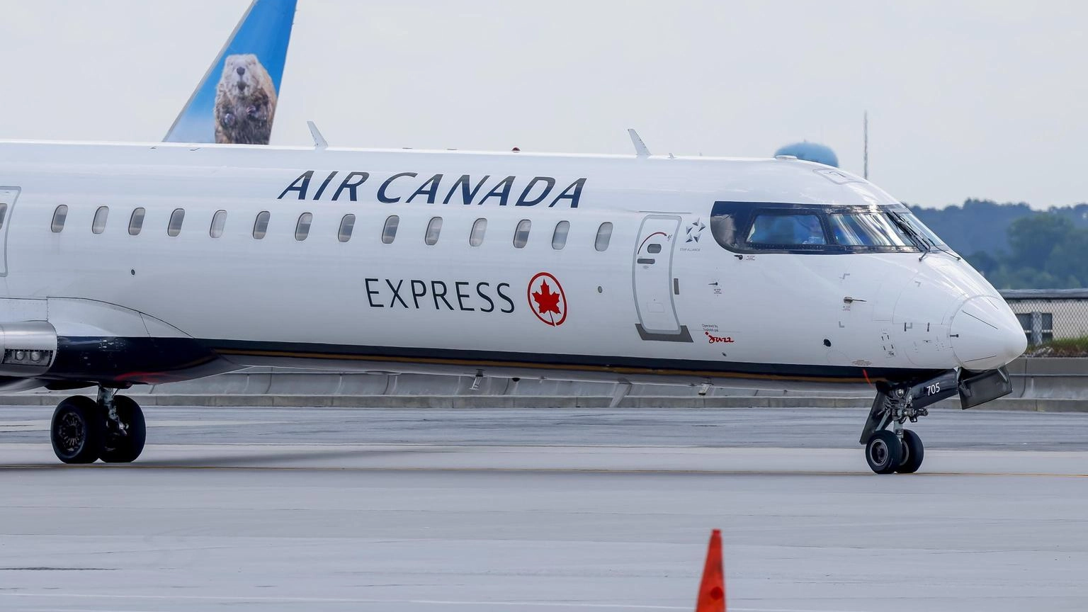 Air Canada, 35 voli settimanali tra Italia e Canada