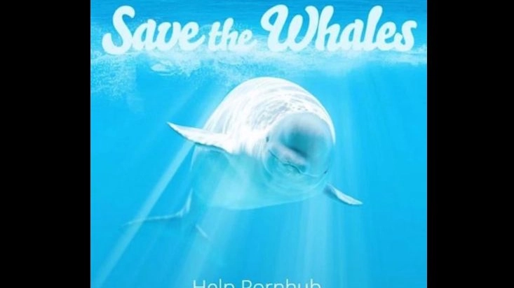 Pornhub in favore delle balene (da youtube)