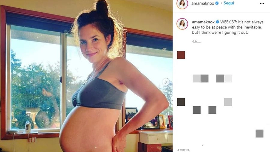 Amanda Knox incinta (Instagram)
