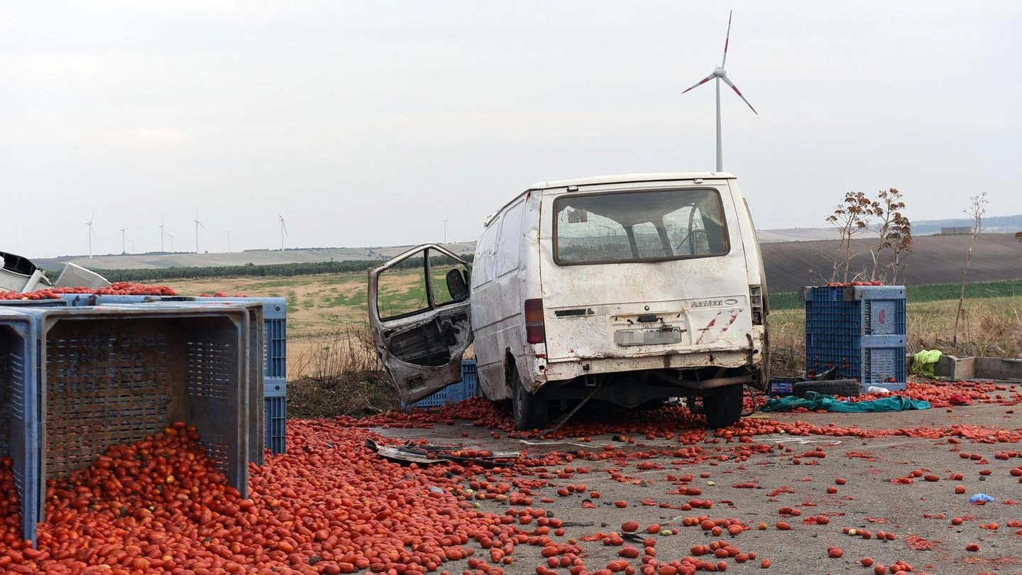 Scontro tra un furgone e un tir che treasportava pomodori nel Foggiano (Ansa)