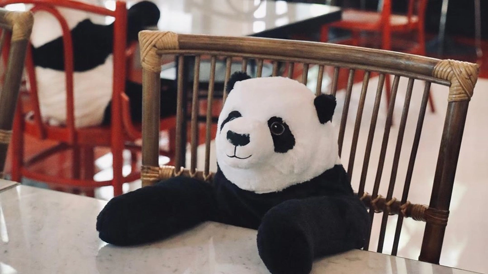 I panda fanno compagnia ai clienti del ristorante - Foto: instagram/maison.saigon