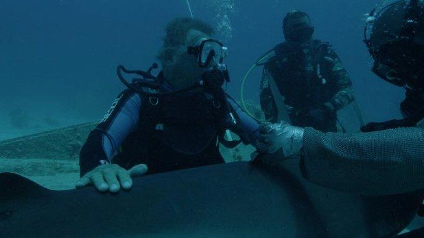  William Shatner tra gli squali