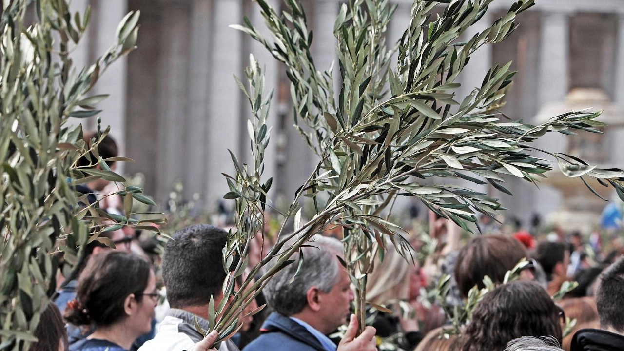 Fedeli in piazza San Pietro per la Domenica delle palme