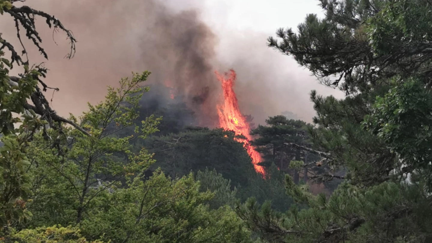 Incendi Calabria, morto un 78enne investito dalla fiamme (Ansa)
