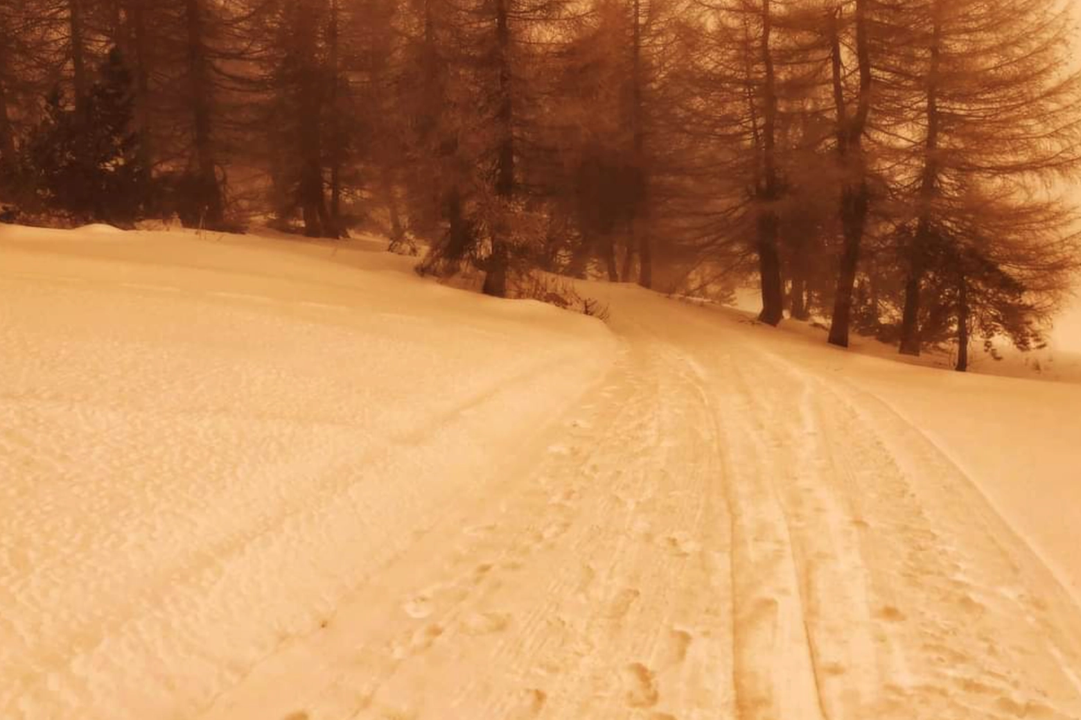 La neve rosse sulle piste da sci del Piemonte
