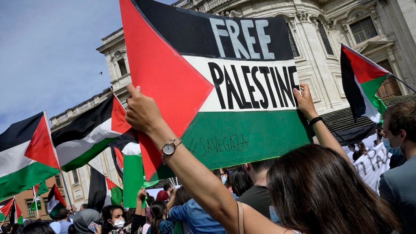 Una manifestazione pro Palestina (Ansa)