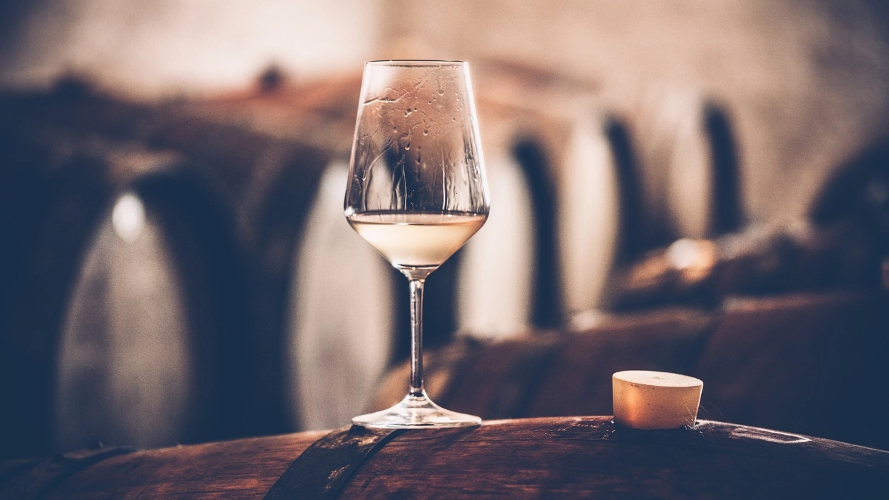 Glass of White Wine on a Barrel in Wine Cellar