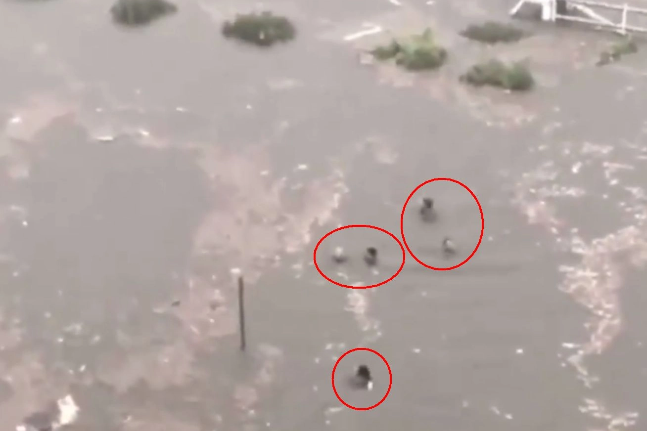 Palermo, persone in strada nuotano verso il cavalcavia per salvarsi
