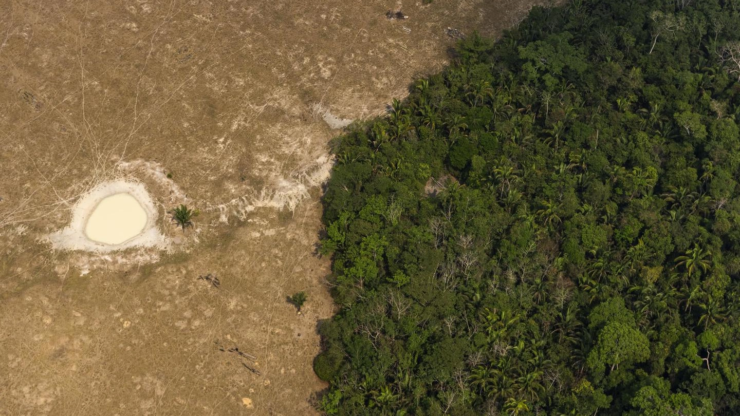 Nell'Amazzonia brasiliana la foresta rigogliosa accanto a un terreno di pascolo (Ansa)