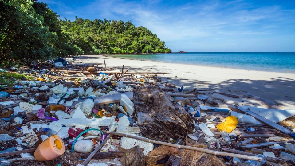 Giornata della Terra, plastica e rifiuti in spiaggia (Dire)