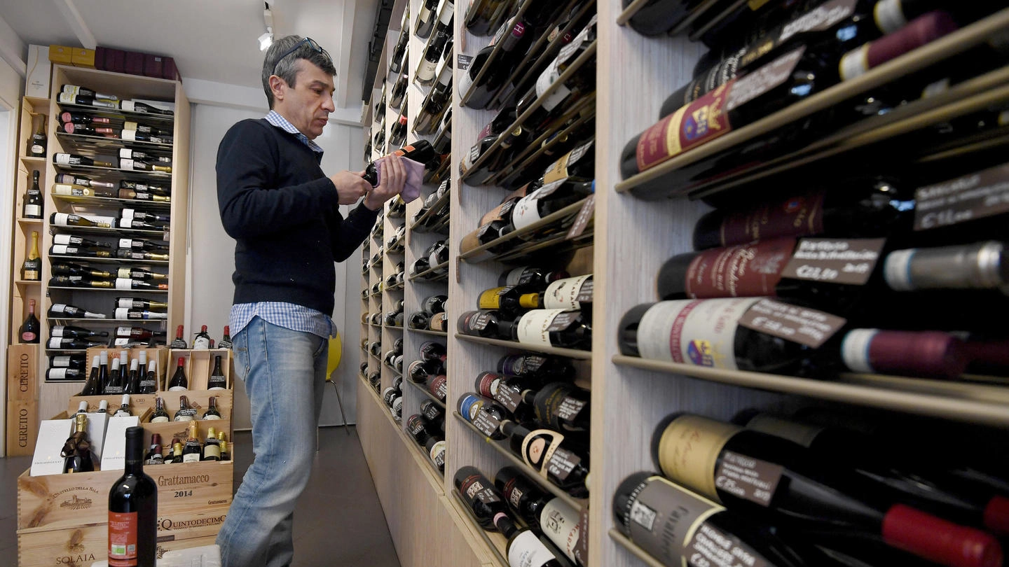 Italia seconda in Europa per esportazione di vino (Ansa)