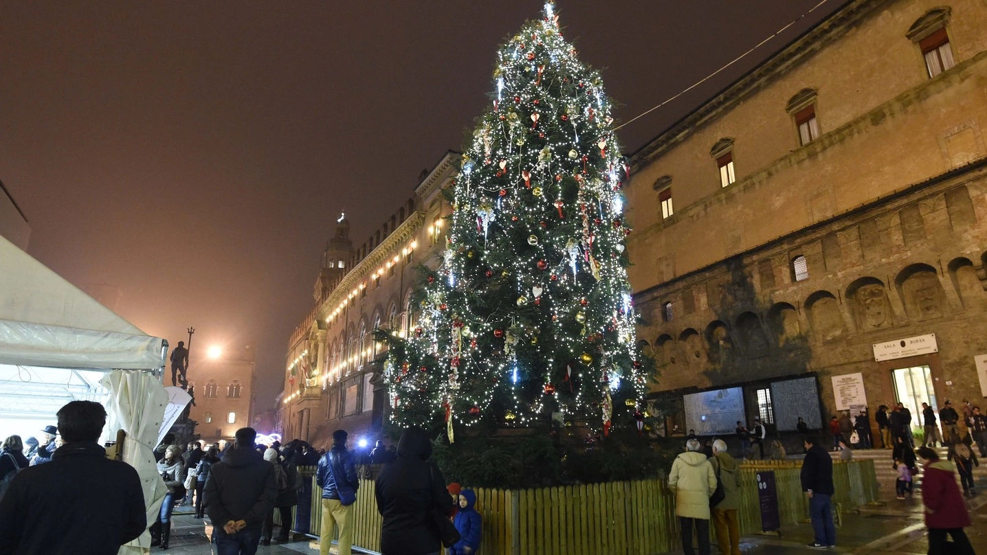 L’albero di Natale in piazza Nettuno