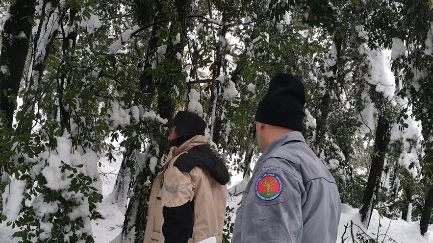 Carabinieri forestali in missione per i "selvatici"