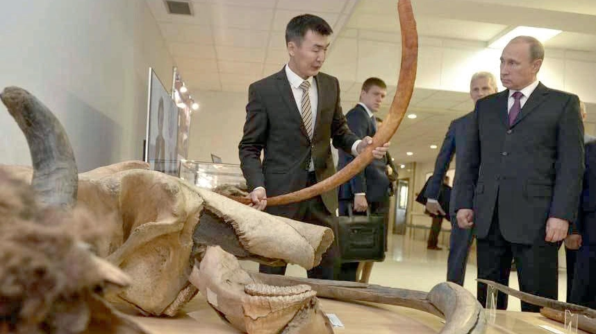 Putin visita il museo dei mammut a Yaktusk