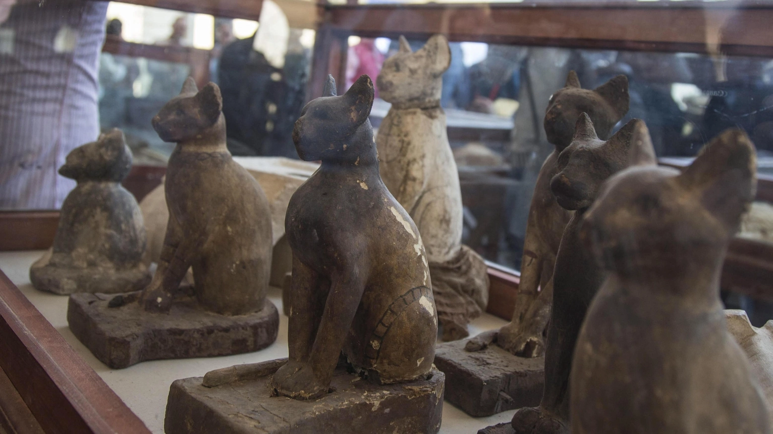 Animali mummificati in Egitto (Ansa)