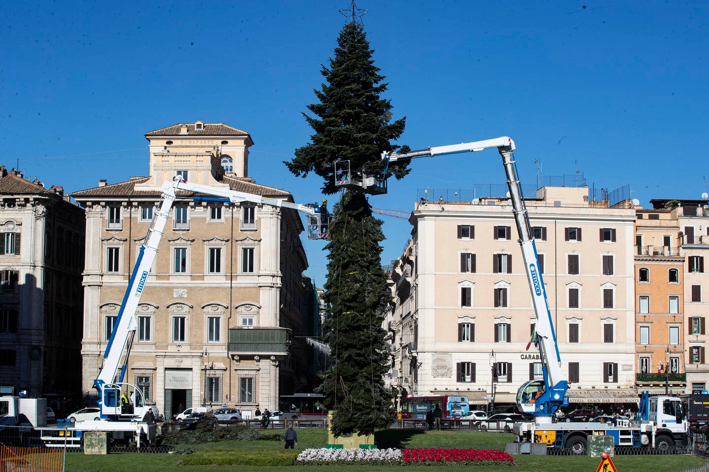 Albero di Natale 2021 in piazza Venezia a Roma