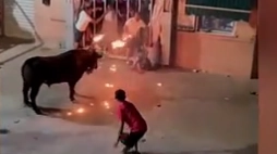 Il toro dalle corna infuocate dopo aver colpito il giovane a Vallada