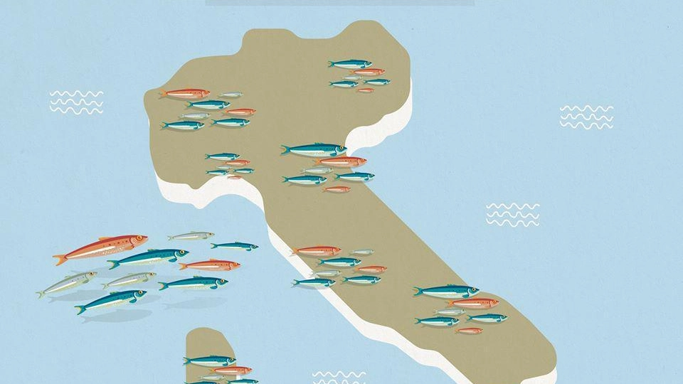 La mappa delle sardine su Facebook (Ansa)