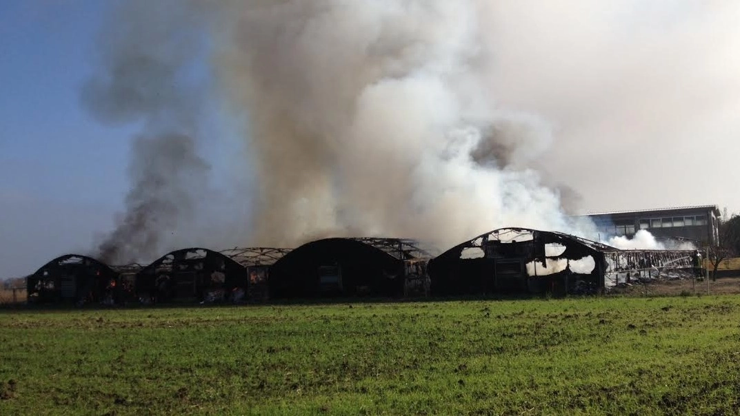 I capannoni devastati dalle fiamme