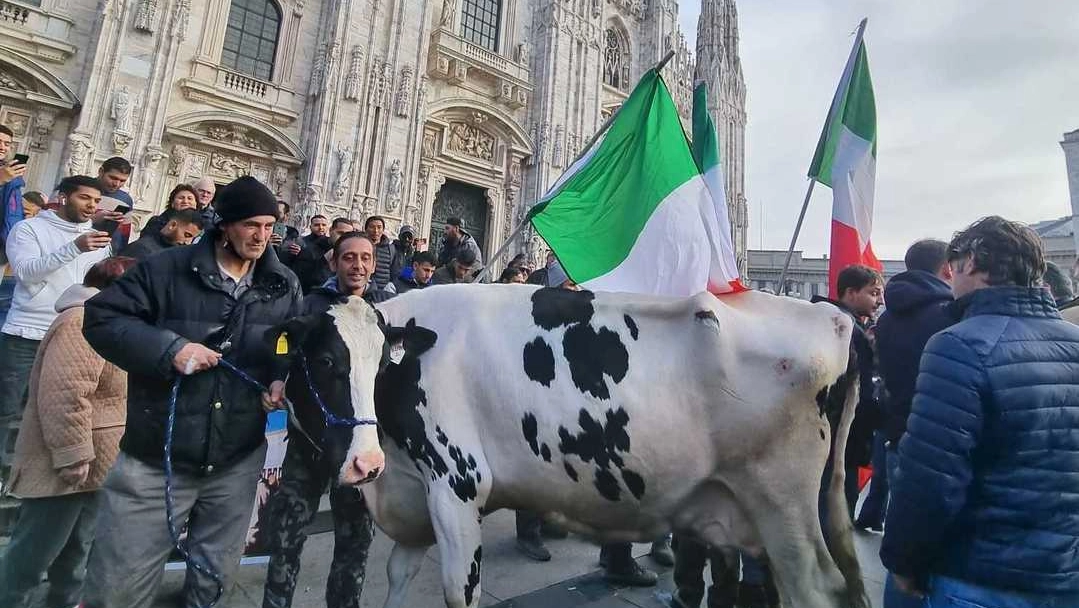 La protesta dei trattori in Duomo a Milano