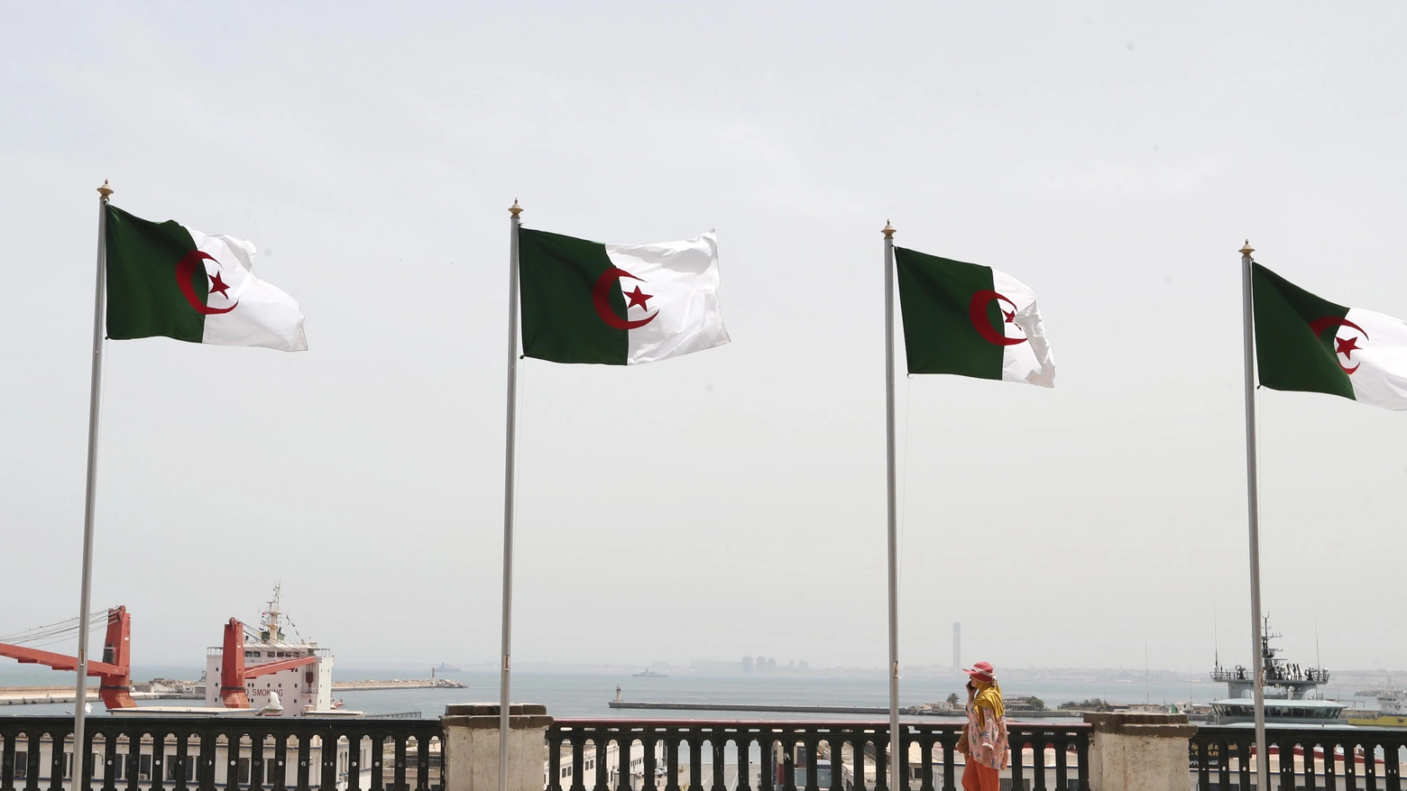 Bandiere algerine (foto d'archivio)