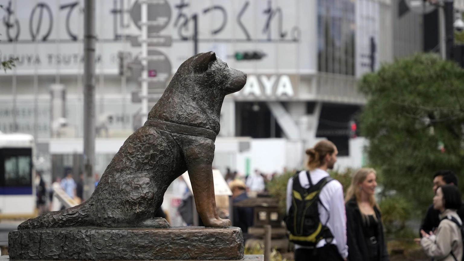 A Tokyo sfilano i cani Akita, 100 anni fa nasceva Hachiko