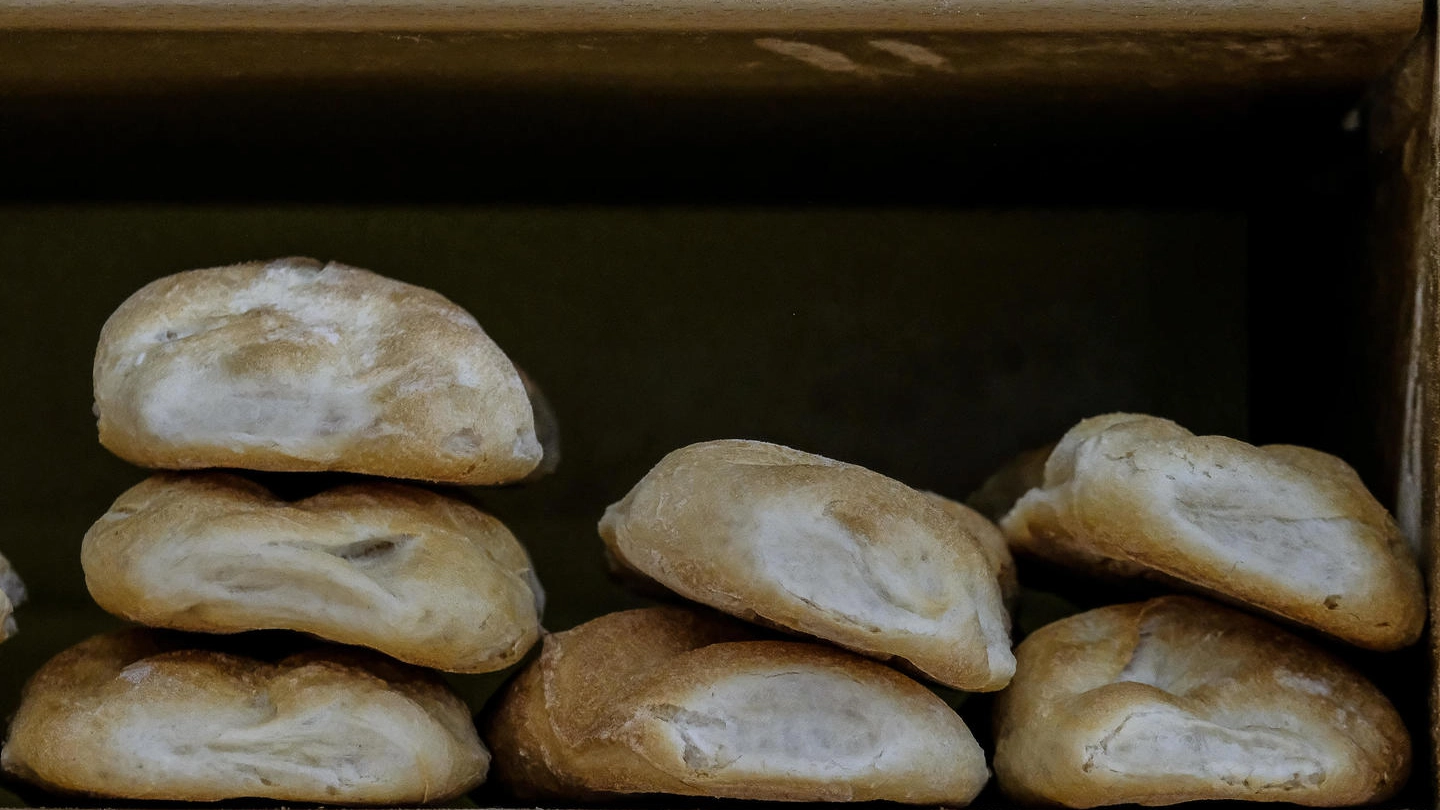 Pane in vendita in un alimentari di Roma (Ansa)