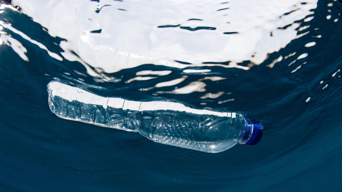 Bottiglia di plastica in mare (foto iStock)