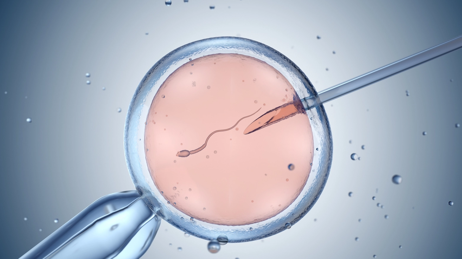 Un donatore di sperma Usa ha trovato 25 dei 96 figli che ha contribuito a generare