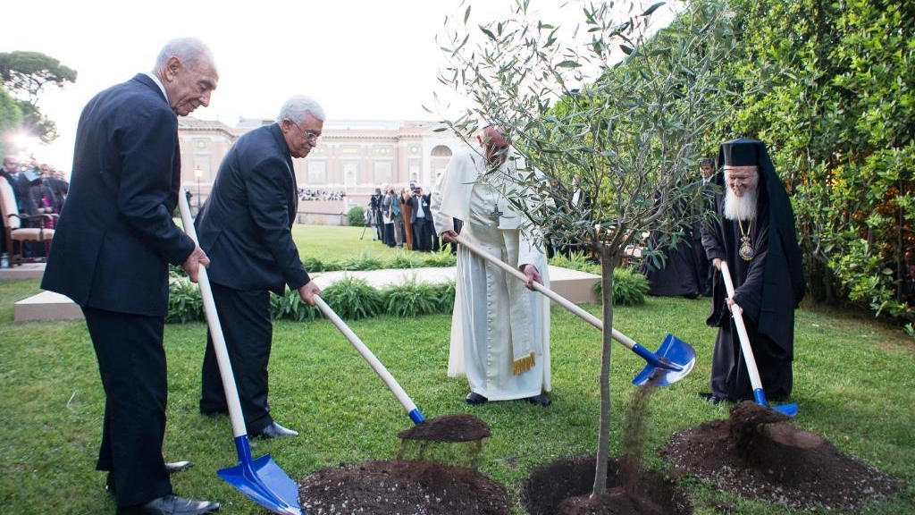 Il Papa nel 2014 piantò un ulivo per la pace in Palestina con i leader dei due Paesi