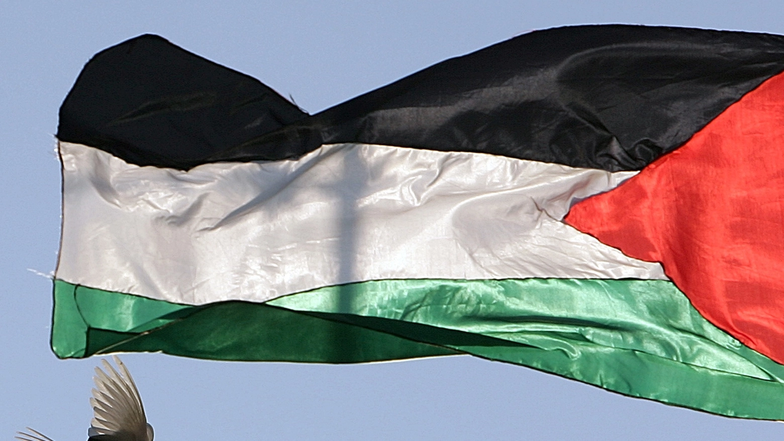 La bandiera della Palestina (Reuters)