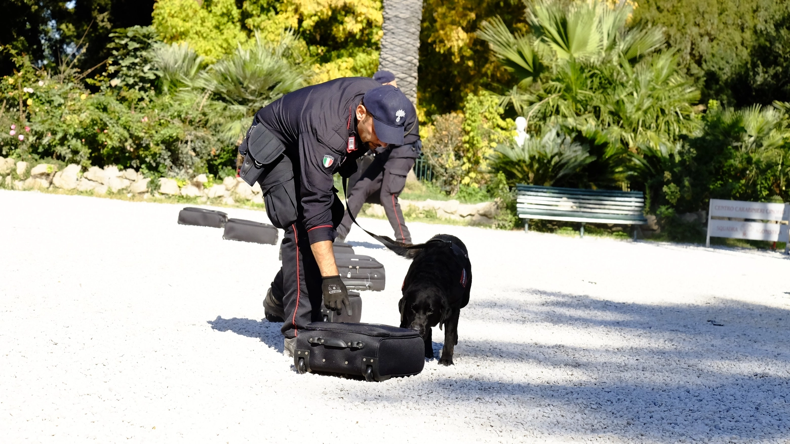 Esercitazione dei cani carabinieri nella giornata Wwf