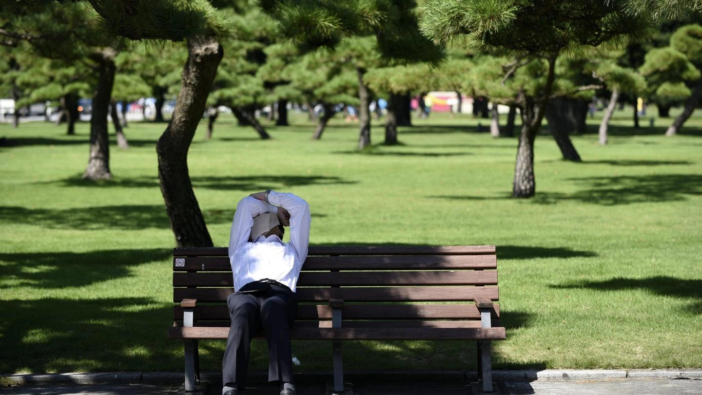 Tokyo, un uomo cerca riparo all'ombra in un parco (Ansa)