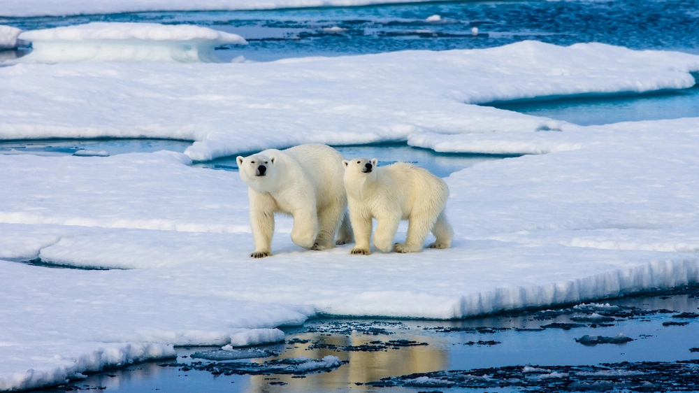I ghiacci in via di scioglimento nell’Artico