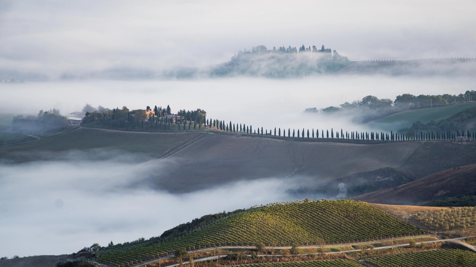 Cartoline da Montalcino Boom di turisti fra le vigne in una terra di eccellenze