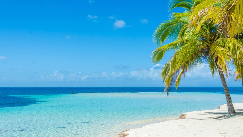 L'isola che non c'è sarebbe un atollo nel mare del Belize - Foto: Simon Dannhauer/iStock